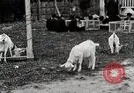 Standbild Kunst Klasse auf Hirosaki Boys' School Honshu Japan, 1935, aus Sekunde 59 historischem Filmmaterial Videoclip 65675025144