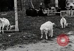 Standbild Kunst Klasse auf Hirosaki Boys' School Honshu Japan, 1935, aus Sekunde 61 historischem Filmmaterial Videoclip 65675025144