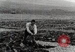 Image of Farm Scene Japan, 1935, second 8 stock footage video 65675025146