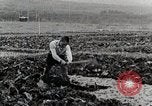 Image of Farm Scene Japan, 1935, second 9 stock footage video 65675025146