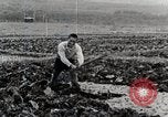 Image of Farm Scene Japan, 1935, second 10 stock footage video 65675025146