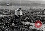 Image of Farm Scene Japan, 1935, second 11 stock footage video 65675025146