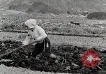 Image of Farm Scene Japan, 1935, second 18 stock footage video 65675025146