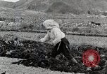 Image of Farm Scene Japan, 1935, second 19 stock footage video 65675025146