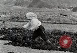 Image of Farm Scene Japan, 1935, second 20 stock footage video 65675025146