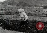 Image of Farm Scene Japan, 1935, second 22 stock footage video 65675025146