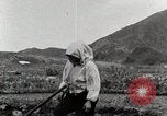 Image of Farm Scene Japan, 1935, second 23 stock footage video 65675025146