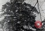 Image of Snow Time Japan, 1935, second 20 stock footage video 65675025150