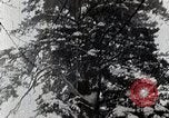 Image of Snow Time Japan, 1935, second 21 stock footage video 65675025150