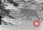 Image of Snow Time Japan, 1935, second 39 stock footage video 65675025150