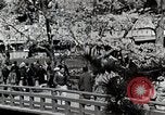 Immagine di Stagione Primavera Giappone, 1935, secondo 7 filmato di repertorio 65675025155
