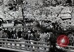 Immagine di Stagione Primavera Giappone, 1935, secondo 8 filmato di repertorio 65675025155