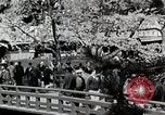 Immagine di Stagione Primavera Giappone, 1935, secondo 9 filmato di repertorio 65675025155