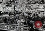 Immagine di Stagione Primavera Giappone, 1935, secondo 10 filmato di repertorio 65675025155