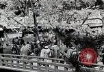 Immagine di Stagione Primavera Giappone, 1935, secondo 13 filmato di repertorio 65675025155