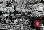 Immagine di Stagione Primavera Giappone, 1935, secondo 14 filmato di repertorio 65675025155