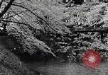Immagine di Stagione Primavera Giappone, 1935, secondo 18 filmato di repertorio 65675025155