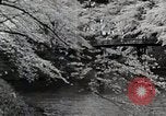 Immagine di Stagione Primavera Giappone, 1935, secondo 19 filmato di repertorio 65675025155