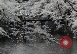 Immagine di Stagione Primavera Giappone, 1935, secondo 21 filmato di repertorio 65675025155