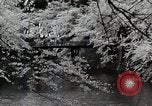 Immagine di Stagione Primavera Giappone, 1935, secondo 22 filmato di repertorio 65675025155