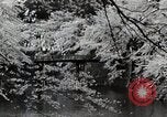 Immagine di Stagione Primavera Giappone, 1935, secondo 24 filmato di repertorio 65675025155
