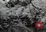 Immagine di Stagione Primavera Giappone, 1935, secondo 25 filmato di repertorio 65675025155