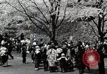 Immagine di Stagione Primavera Giappone, 1935, secondo 61 filmato di repertorio 65675025155