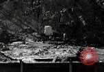 Image of Asano House and Garden Tokyo Japan, 1945, second 43 stock footage video 65675025160