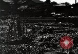 Image of Demolished Shiba District Tokyo Japan Shiba district, 1945, second 54 stock footage video 65675025171