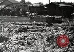 Image of Demolished Shiba District Tokyo Japan Shiba district, 1945, second 56 stock footage video 65675025171