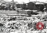 Image of Demolished Shiba District Tokyo Japan Shiba district, 1945, second 57 stock footage video 65675025171