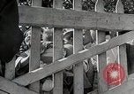 Image Bombe japonais Shanghai Shanghai Chine, 1937, de la seconde 58 séquences d'archives historiques vidéo 65675025183