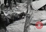 Image Le viol de Nankin Nanjing en Chine, 1937, de la seconde 24 séquences d'archives historiques vidéo 65675025185