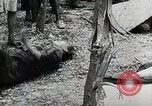 Image Le viol de Nankin Nanjing en Chine, 1937, de la seconde 25 séquences d'archives historiques vidéo 65675025185