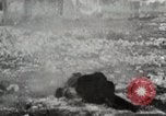Image Le viol de Nankin Nanjing en Chine, 1937, de la seconde 34 séquences d'archives historiques vidéo 65675025185