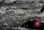 Image Le viol de Nankin Nanjing en Chine, 1937, de la seconde 36 séquences d'archives historiques vidéo 65675025185