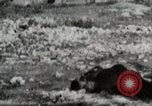 Image Le viol de Nankin Nanjing en Chine, 1937, de la seconde 37 séquences d'archives historiques vidéo 65675025185