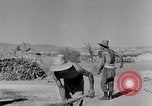Standbild Chinesische Guerilla-kämpfer China, 1944, aus Sekunde 49 historischem Filmmaterial Videoclip 65675025190