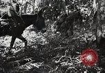 Standbild Chinesisch 38 Und 22 Divisionen Birma, 1944, aus Sekunde 28 historischem Filmmaterial Videoclip 65675025196