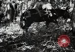 Standbild Chinesisch 38 Und 22 Divisionen Birma, 1944, aus Sekunde 30 historischem Filmmaterial Videoclip 65675025196