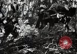 Standbild Chinesisch 38 Und 22 Divisionen Birma, 1944, aus Sekunde 31 historischem Filmmaterial Videoclip 65675025196