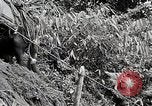 Standbild Chinesisch 38 Und 22 Divisionen Birma, 1944, aus Sekunde 37 historischem Filmmaterial Videoclip 65675025196