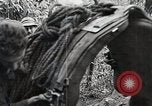 Standbild Chinesisch 38 Und 22 Divisionen Birma, 1944, aus Sekunde 40 historischem Filmmaterial Videoclip 65675025196