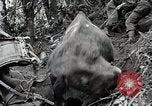 Standbild Chinesisch 38 Und 22 Divisionen Birma, 1944, aus Sekunde 47 historischem Filmmaterial Videoclip 65675025196