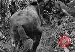 Standbild Chinesisch 38 Und 22 Divisionen Birma, 1944, aus Sekunde 48 historischem Filmmaterial Videoclip 65675025196