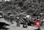 Image Les forces américaines et chinoises capturent Bhamo Bhamo Birmanie, 1944, de la seconde 30 séquences d'archives historiques vidéo 65675025198