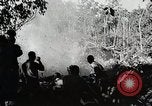 Image Les forces américaines et chinoises capturent Bhamo Bhamo Birmanie, 1944, de la seconde 40 séquences d'archives historiques vidéo 65675025198