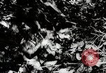 Image Construction et achèvement du chemin Ledo Ledo Birmanie, 1944, de la seconde 23 séquences d'archives historiques vidéo 65675025199