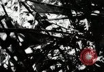 Image Construction et achèvement du chemin Ledo Ledo Birmanie, 1944, de la seconde 24 séquences d'archives historiques vidéo 65675025199