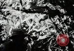 Image Construction et achèvement du chemin Ledo Ledo Birmanie, 1944, de la seconde 26 séquences d'archives historiques vidéo 65675025199